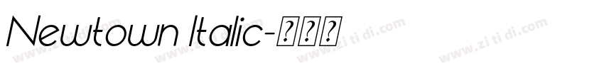 Newtown Italic字体转换